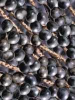 Açai