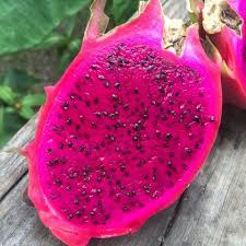 Pitaya